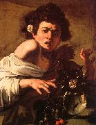 Caravaggio Youth Bitten by a Green Lizard oil painting picture wholesale