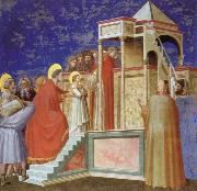 Giotto Presentation of the VIrgin ar the Temple oil painting artist