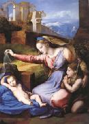 Raphael The Virgin with the Veil (mk05) oil painting picture wholesale