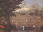 Poussin Summer or Ruth and Boas (mk05) oil painting picture wholesale