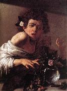 Caravaggio Boy Bitten by a Lizard f oil painting