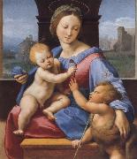 Raphael The Madonna and Child with teh Infant Baptist oil painting