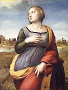 Raphael Saint Catherine of Alexandria oil painting