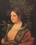 Giorgione Laura (MK45) oil painting reproduction
