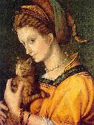 BACCHIACCA Portrait de jeune femme tenant un chat oil painting reproduction