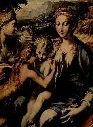 PARMIGIANINO Thronende Madonna, Hl. Zacharias, Hl. Johannes der Taufer und Hl. Maria Magdalena oil painting