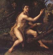 Raphael John the Baptist (mk05) oil painting reproduction