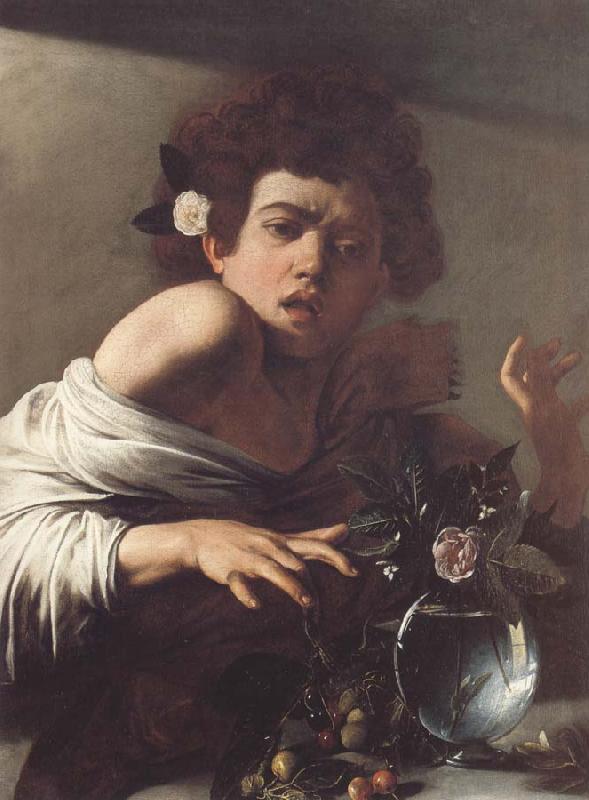 Caravaggio Boy Bitten by a Lizard oil painting image