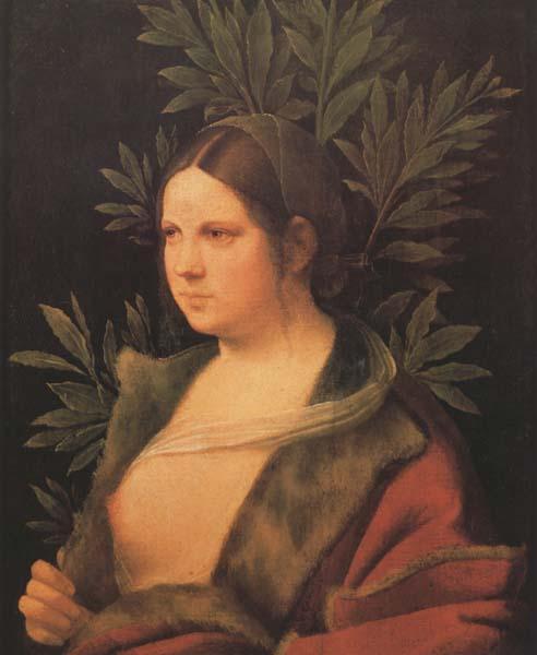 Giorgione Laura (MK45) oil painting image