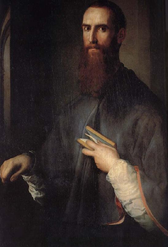Pontormo Gregory portrait oil painting image