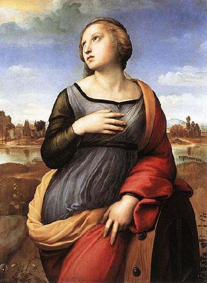 Raphael Saint Catherine of Alexandria, oil painting image