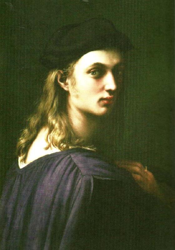 Raphael portrait of bindo altoviti oil painting image